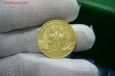 2 злотых 1998 жаба - 11-08-19 - 23-10 мск - P2150454.JPG