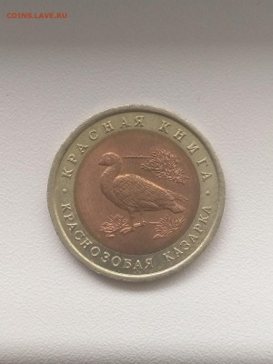 РОССИЯ,10 рублей 1992г(КК,Краснозобая казарка)до 10.08.2019 - IMG_20190802_125548