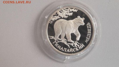 1р 1994г Гималайский медведь -серебро Ag900, до 14.08 - Y Медведь-1