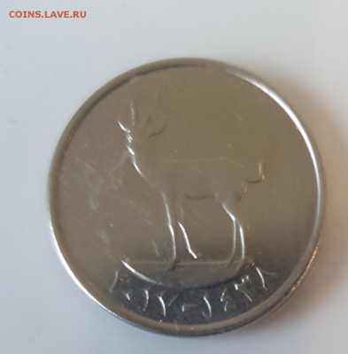 14.08.19 в 22:00 - 20190808_184235