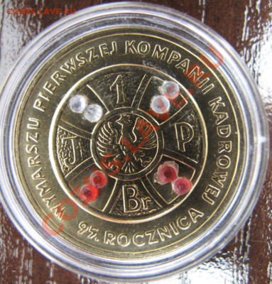 Польша, 2 злотых с кристаллами, Кадровая компания, 2009 - IMG_0096.JPG