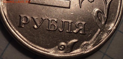 Брак или разновидность? - DSC07381.JPG