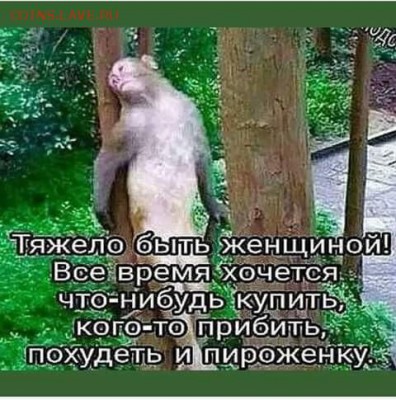 юмор - i (1)