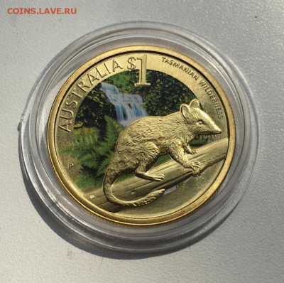 Австралия 1$ доллар 2010 Кволл Крапчатая сумчатая куница - avstralija_1_dollar_2010_kvoll_krapchataja_sumchataja_kunica_tasmanskaja_pustynja_zhivotnye_fauna_emal