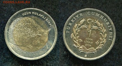 1 лира 2014 Турция Ушастый Еж до 15.08.19 в 220.00 мск - img944