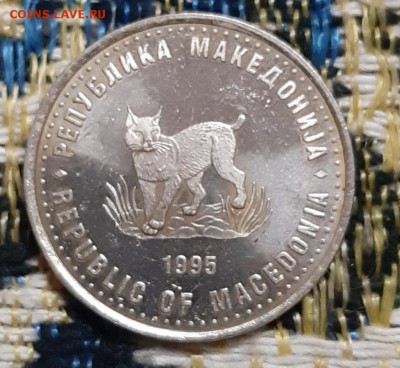 5 денари 1995 Македония до 12.08 - мак