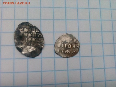2 чешуйки - IMG_20190810_140020