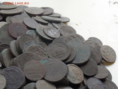 444 ШТ. не чищ медные монеты РИ ДО 15.О8.    20-30 - DSCN6147.JPG