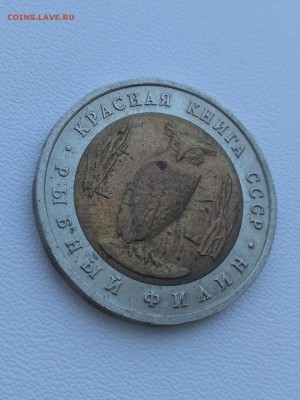 СССР,5 рублей 1991г(КК,Рыбный филин) до 13.08.2019 - IMG_20190811_152437