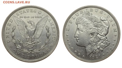 б. Морган. До 15.08.19. - DSH_1856.JPG