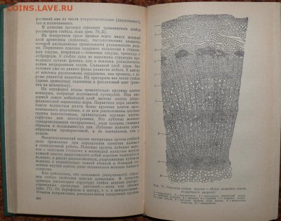 Курс общий ботаники. Учебник для вузов.  с 1 руб - ботаника3.JPG