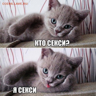 юмор - yyrgLq4BGTk