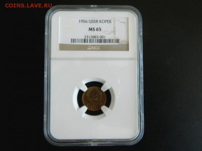 1 копейка 1956. Слаб NGC. MS 65. - 1_kopejka_1956_slab_ngs_ms65