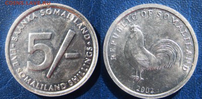 Сомалиленд 5 шиллингов, 2002 (петух) 14-08 В 22-00МСК - сомалленд петух