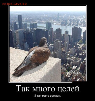 юмор - dDp4wrtPlyI