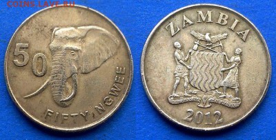 Замбия - 50 нгве 2012 года (Слон) до 20.08 - Замбия 50 нгве 2012