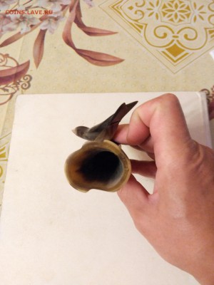 Куплю Янтарь, Коралл,Бакелит,Будды бронза,Кость. - IMG_20190709_193318