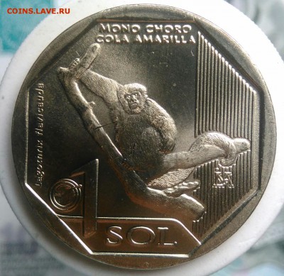 Перу 1 соль 2019 года обезьяна до 21.08.2019 - IMG_20190714_135353