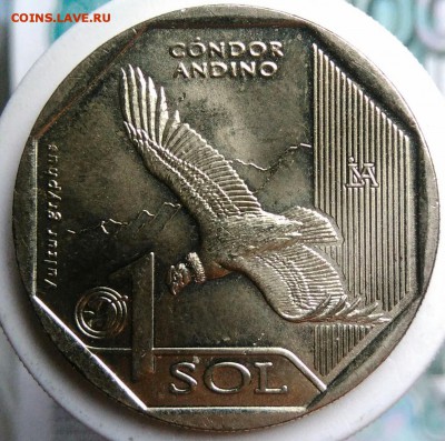 Перу 1 соль 2017 года кондор до 21.08.2019 - IMG_20190719_181005