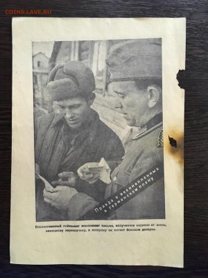 Анимационная листовка Германии (письмо). До 22:00 23.08.19 - 0FB4F424-193A-46F7-84BA-820CFA1D42E5