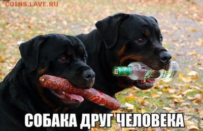 юмор - kaHTDUolF3A