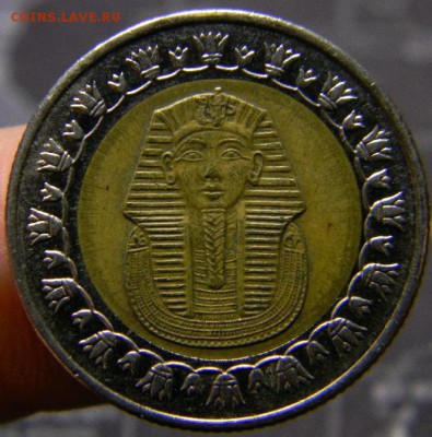 1 фунт египет бим - DSCN6437_thumb