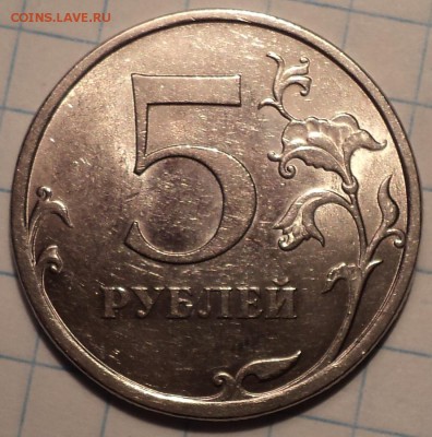РАЗНОВИДНОСТИ  от  СЛФ - DSC08177.JPG