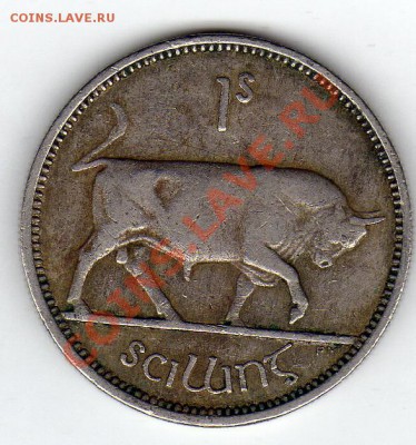 ИРЛАНДИЯ ШИЛЛИНГ 1951 БЫК до 15.07.11 в 22.00мск - img326