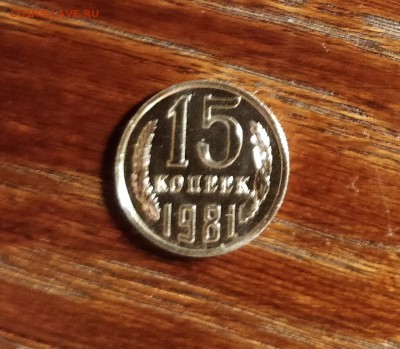 15 копеек 1981-ВОЛОСАТАЯ-НАБОРНАЯ-до 22 8 19 22 30 - IMG_20190819_205817_cr
