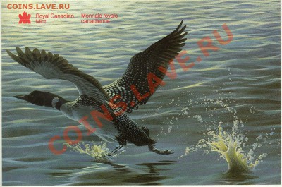 КАНАДА ГОДОВОЙ НАБОР 1988 до 15.07.11 в 22.00мск (37) - img348