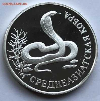 1 Рубль 1994 г. Среднеазиатская кобра. До 22.08.19 в 22:00 - IMG_7106