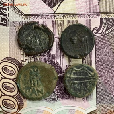 Античные 4 монеты. До 22:00 27.08.19 - F5DFC8F3-A3B6-4028-B4BD-2A6CAE7368C5