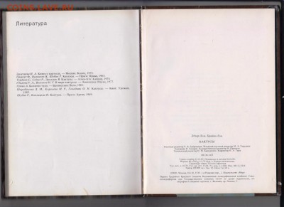 КАКТУСЫ 1984 г. до 28.08.19 г. в 23.00 - 008