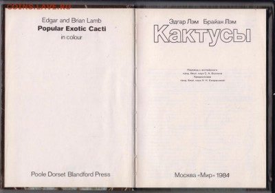 КАКТУСЫ 1984 г. до 28.08.19 г. в 23.00 - 010