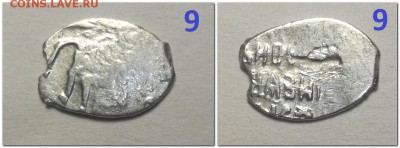 9 чешуек на определение - 33