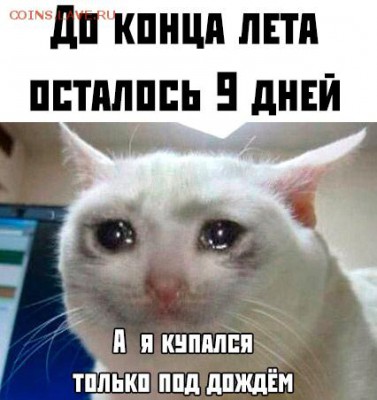 делает - прямо сейчас !!! - BgFHrxJb3pI