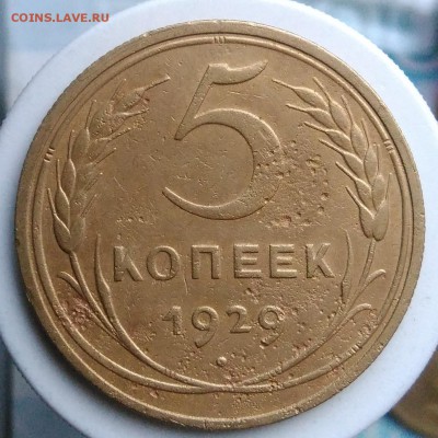 5 копеек 1929 года до 28.08.2019 - IMG_20190812_195133