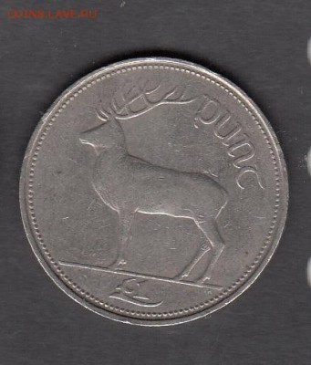 Ирландия 1994 1 фунт олень до 27 08 - 252