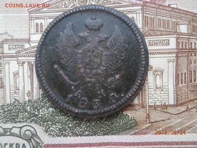 2 копейки 183 КМ АМ до 20.00 мск 28.08.2019 - P8240464 (Копировать).JPG