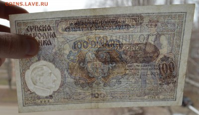 Сербия. 100 Динар 1941 до 27.08 22-00 - DSC_0570.JPG