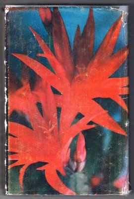 С. Турдиев КАКТУСЫ 1980 г. до 31.08.19 г. в 23.00 - 002