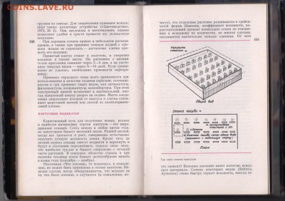 С. Турдиев КАКТУСЫ 1980 г. до 31.08.19 г. в 23.00 - 004