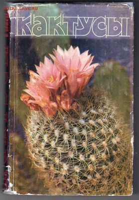 С. Турдиев КАКТУСЫ 1980 г. до 31.08.19 г. в 23.00 - 001