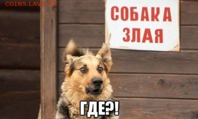 юмор - sNdJrM1u0cQ