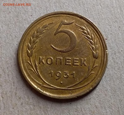 5 копеек 1931. До 28.08.19 в 22.00 - 20190825_235434