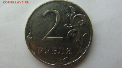 Вопросы по разновиднстям от сахарок - DSC09333.JPG