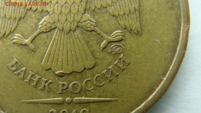 Вопросы по разновиднстям от сахарок - DSC09332.JPG