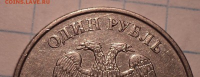 РАЗНОВИДНОСТИ  от  СЛФ - DSC08424.JPG