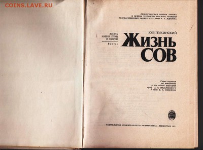 Жизнь сов 1977 г. до 03.09.19 г. в 23.00 - 015