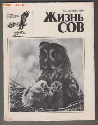 Жизнь сов 1977 г. до 03.09.19 г. в 23.00 - 011